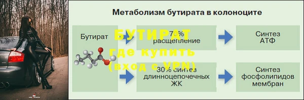 молекула духа Бородино